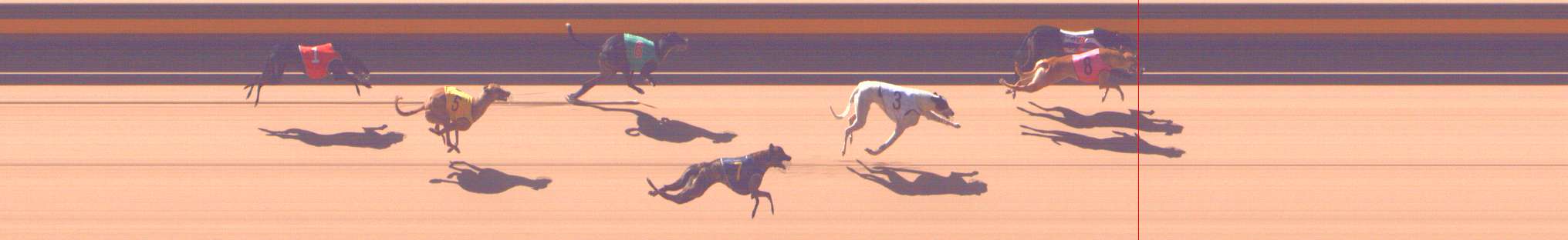 Photo finish for Shepparton Race 1