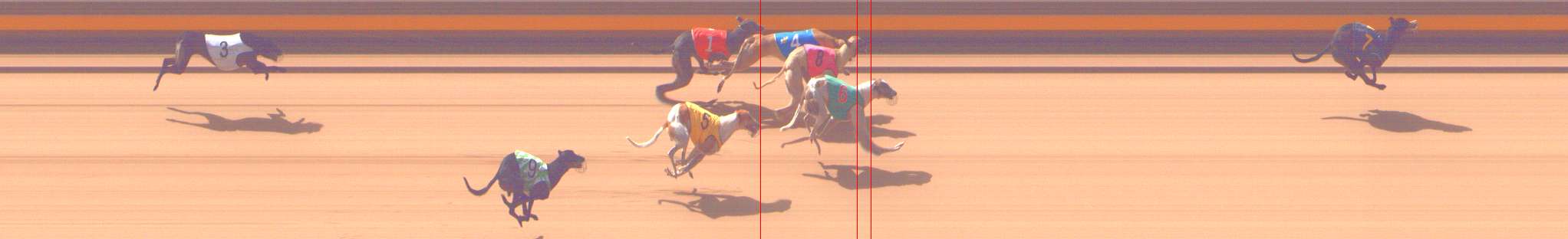Photo finish for Shepparton Race 3