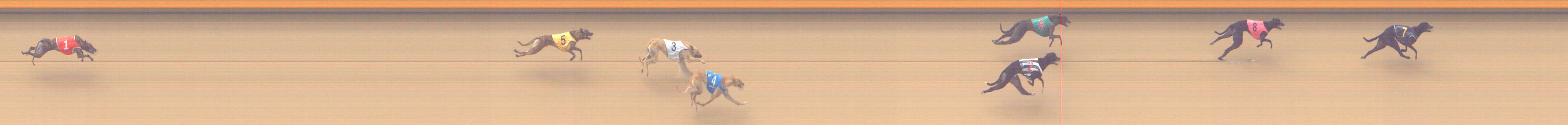 Photo finish for Shepparton Race 5