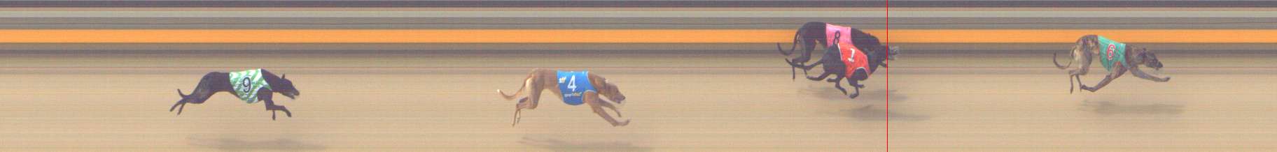 Photo finish for Shepparton Race 6