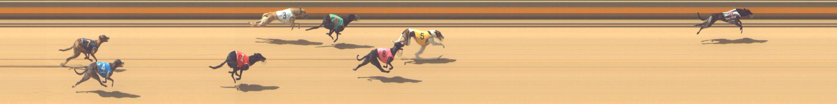 Photo finish for Shepparton Race 7