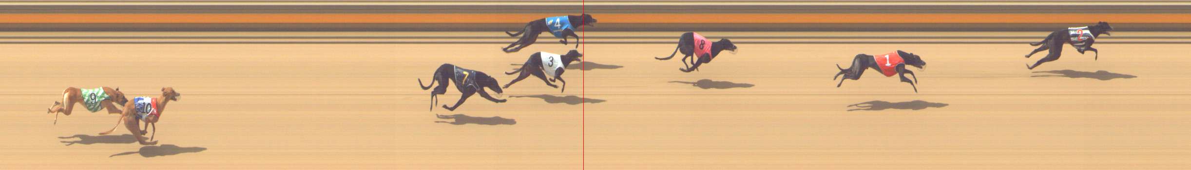 Photo finish for Shepparton Race 8