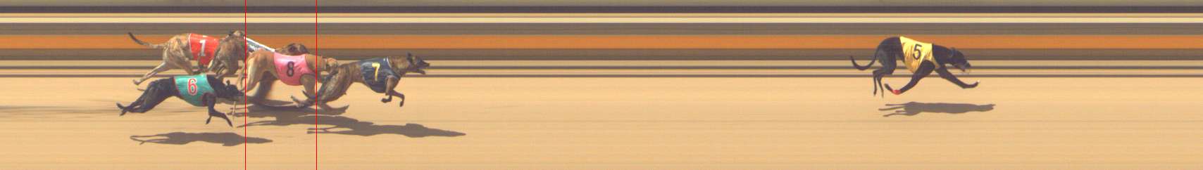 Photo finish for Shepparton Race 9