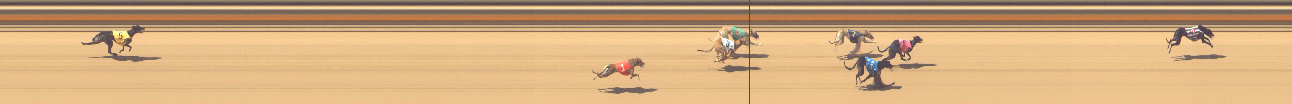 Photo finish for Shepparton Race 10