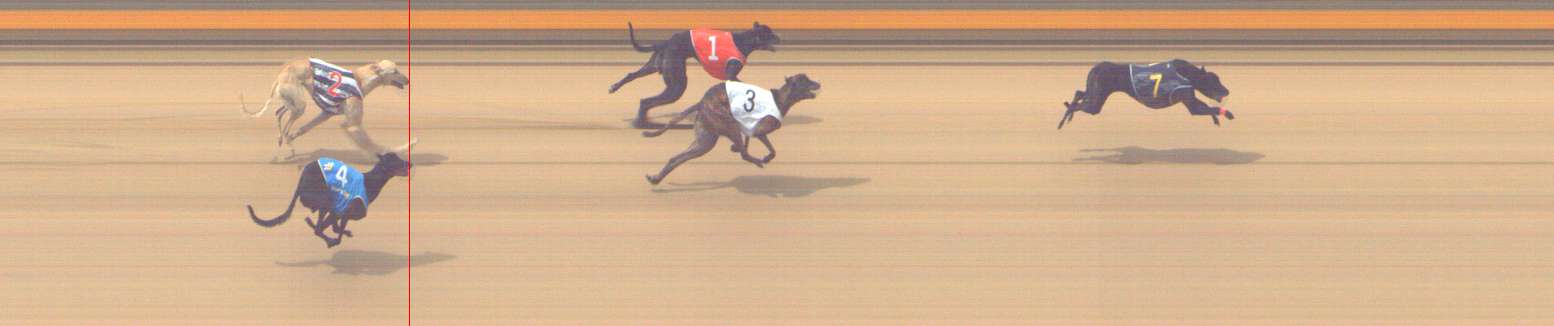 Photo finish for Shepparton Race 11