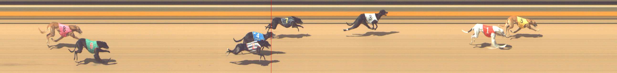 Photo finish for Shepparton Race 13