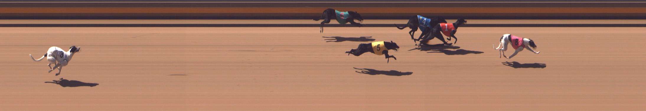 Photo finish for Shepparton Race 2