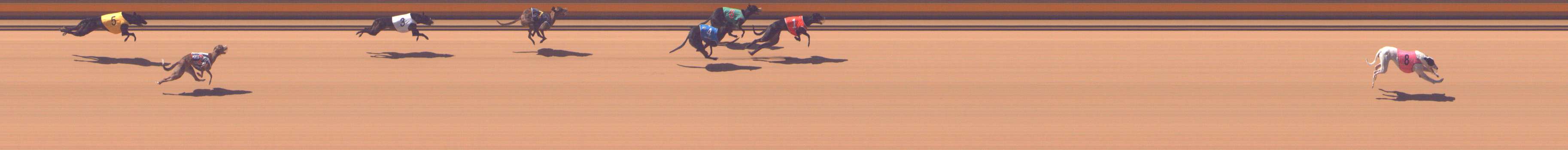 Photo finish for Shepparton Race 3
