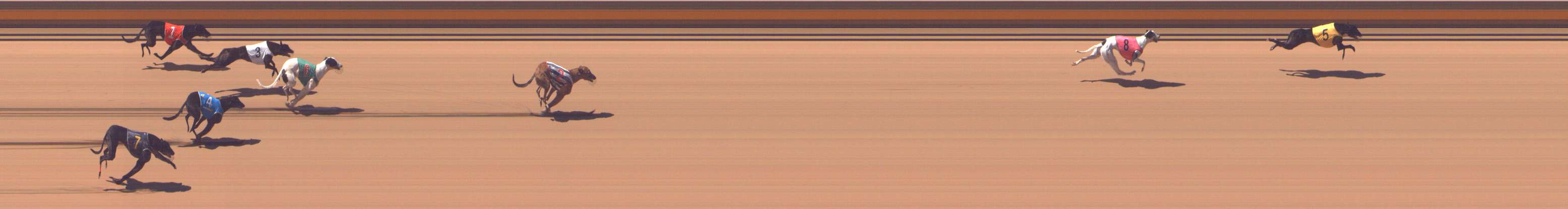 Photo finish for Shepparton Race 4