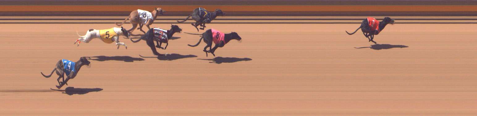 Photo finish for Shepparton Race 5
