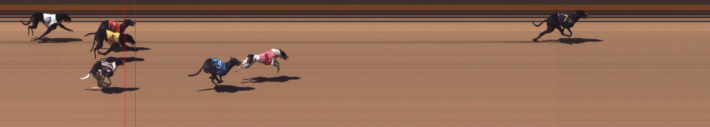 Photo finish for Shepparton Race 6