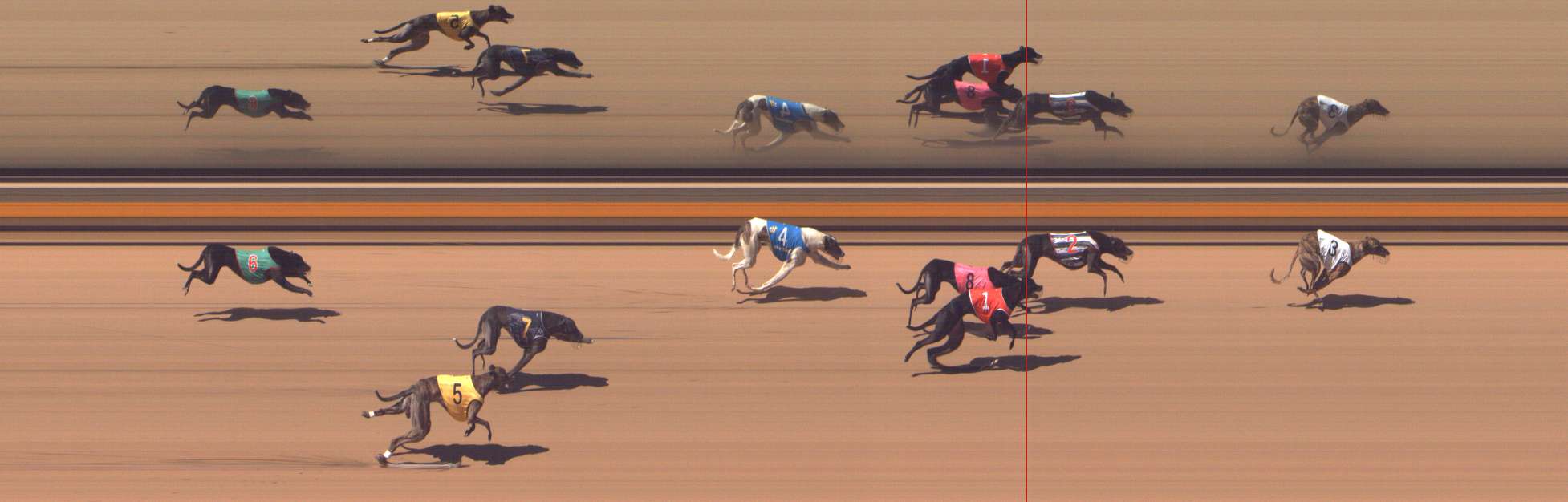 Photo finish for Shepparton Race 7