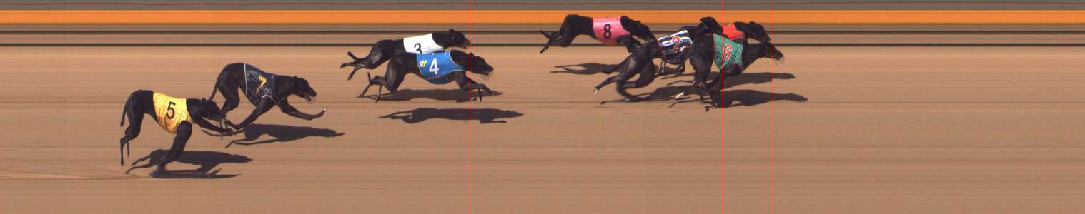 Photo finish for Shepparton Race 9