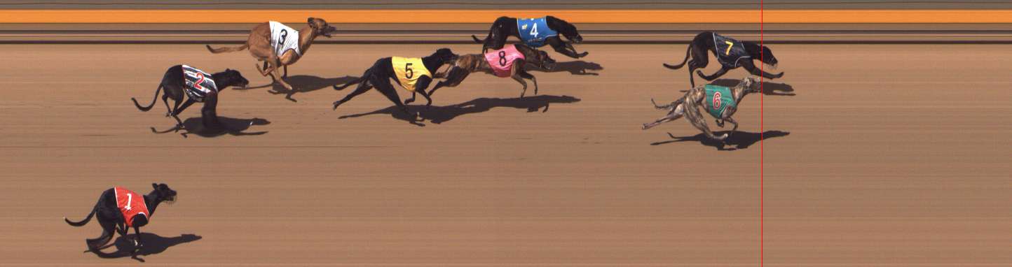 Photo finish for Shepparton Race 10