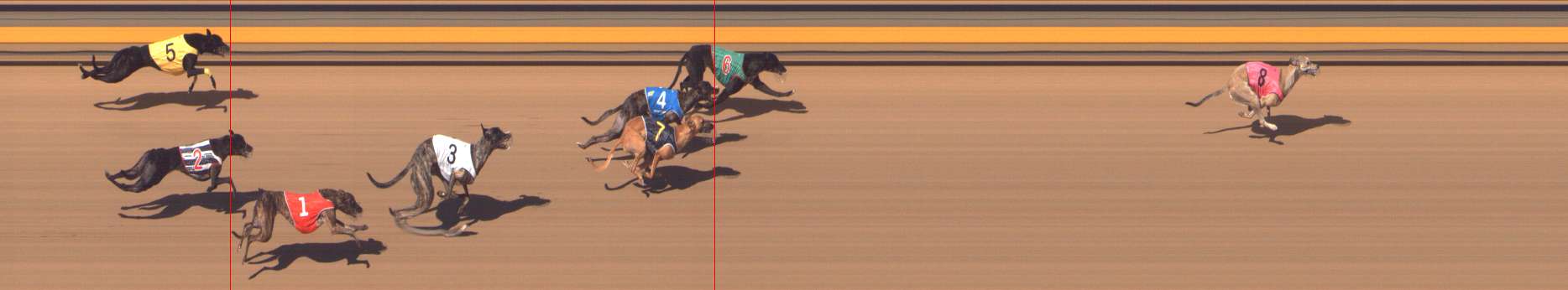 Photo finish for Shepparton Race 11