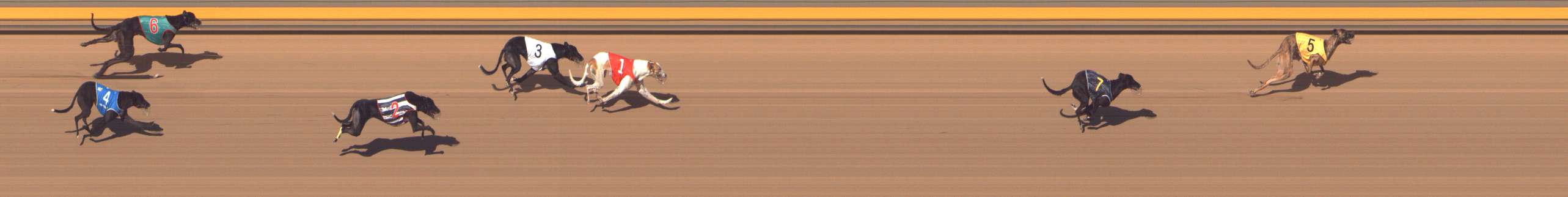 Photo finish for Shepparton Race 12