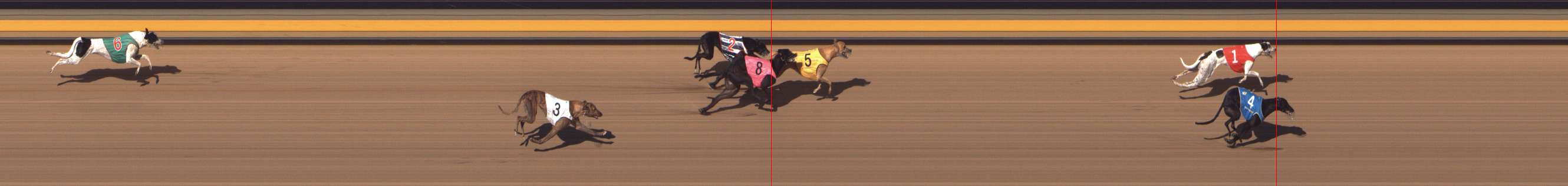 Photo finish for Shepparton Race 13