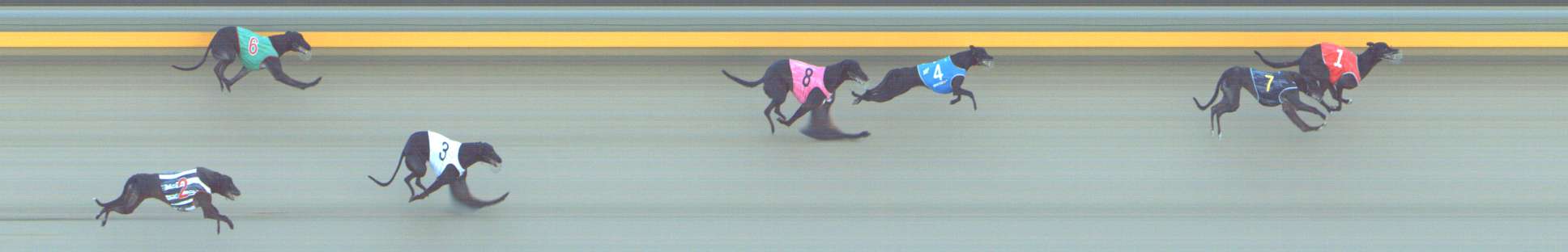Photo finish for Shepparton Race 1