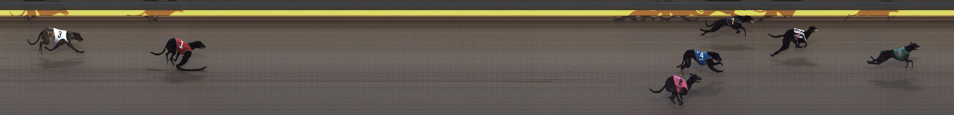 Photo finish for Shepparton Race 2