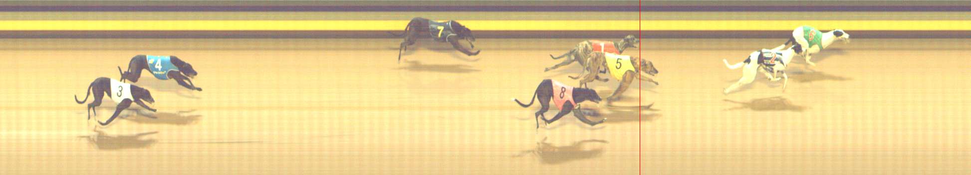 Photo finish for Shepparton Race 4