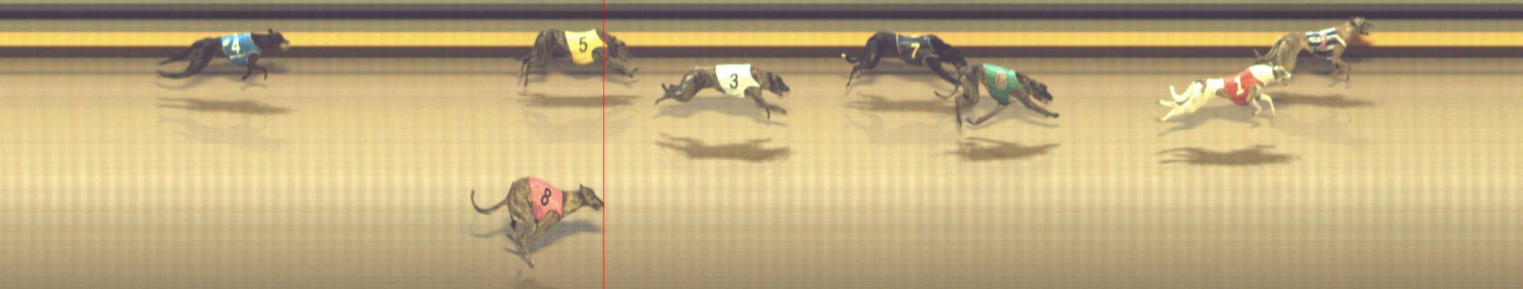 Photo finish for Shepparton Race 5