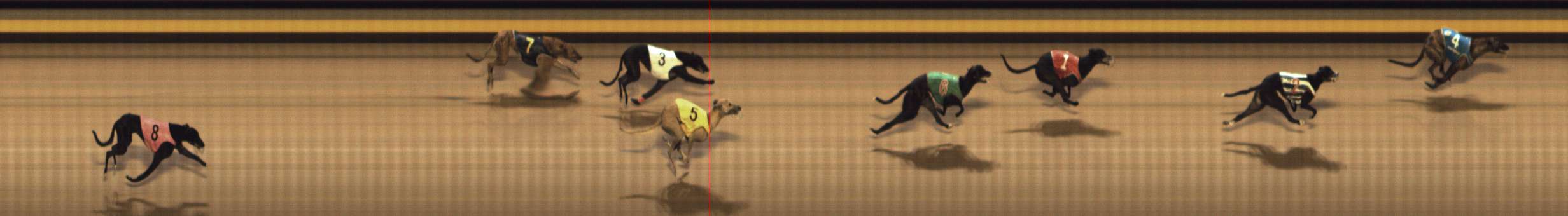 Photo finish for Shepparton Race 10