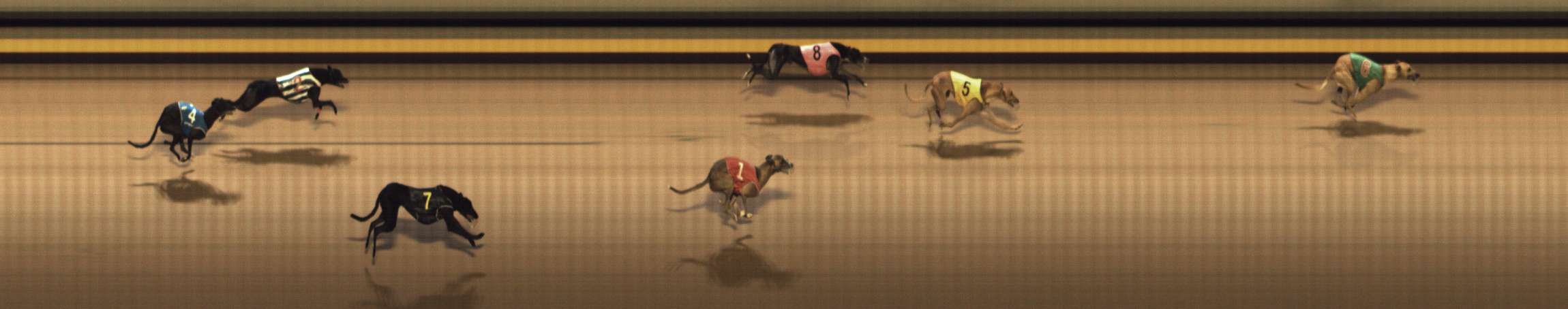 Photo finish for Shepparton Race 12