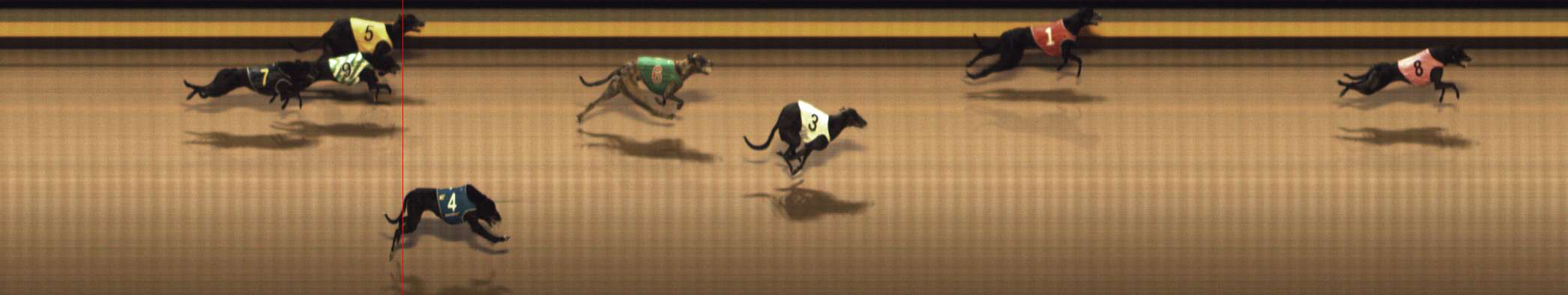 Photo finish for Shepparton Race 13