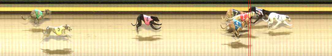 Photo finish for Shepparton Race 7