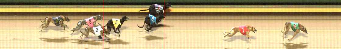 Photo finish for Shepparton Race 9