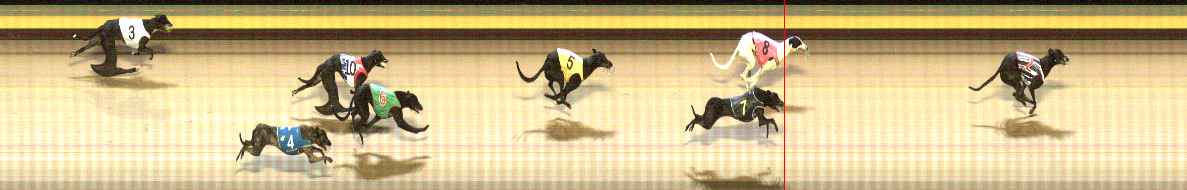 Photo finish for Shepparton Race 11