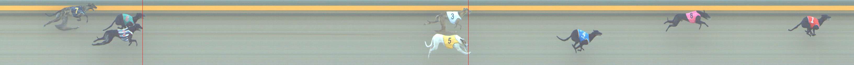 Photo finish for Shepparton Race 1