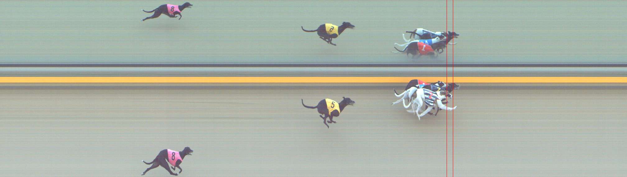 Photo finish for Shepparton Race 2