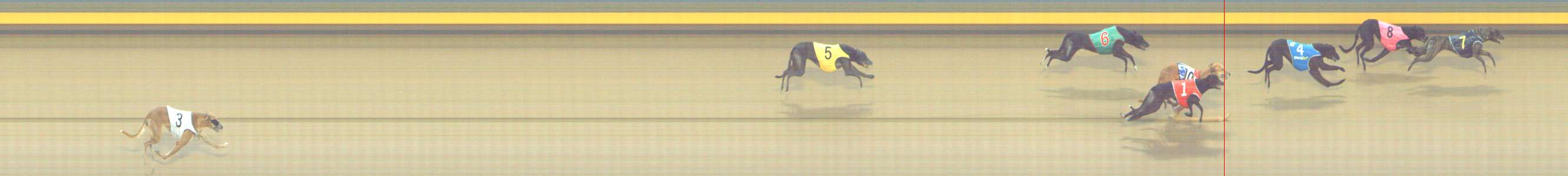 Photo finish for Shepparton Race 3