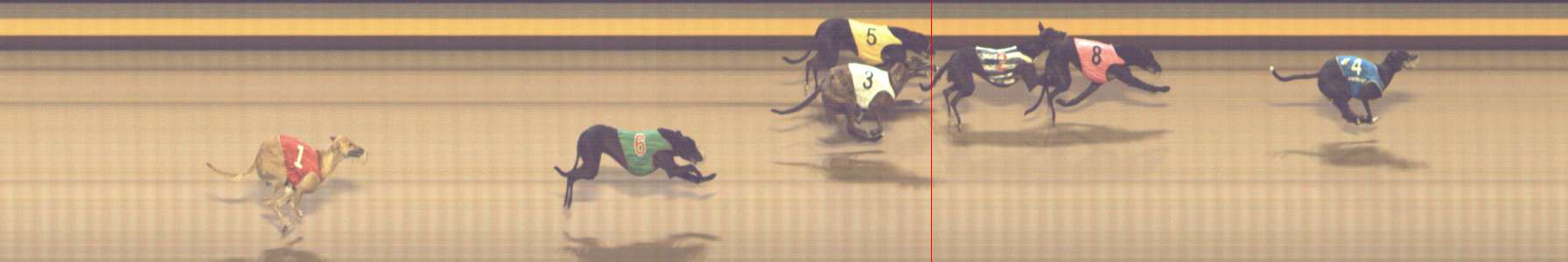 Photo finish for Shepparton Race 5