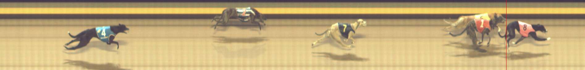 Photo finish for Shepparton Race 6