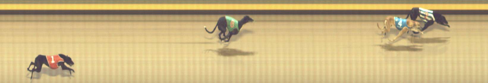 Photo finish for Shepparton Race 12