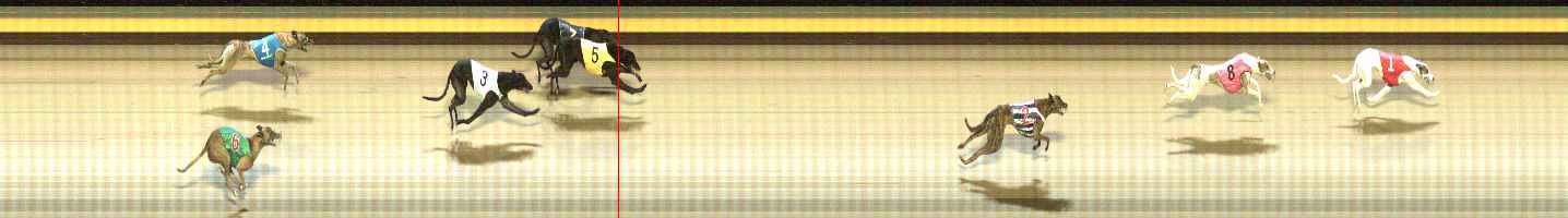 Photo finish for Shepparton Race 9