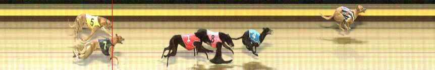 Photo finish for Shepparton Race 10