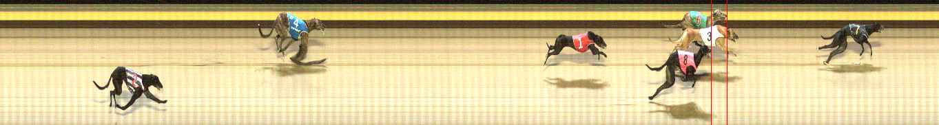 Photo finish for Shepparton Race 11