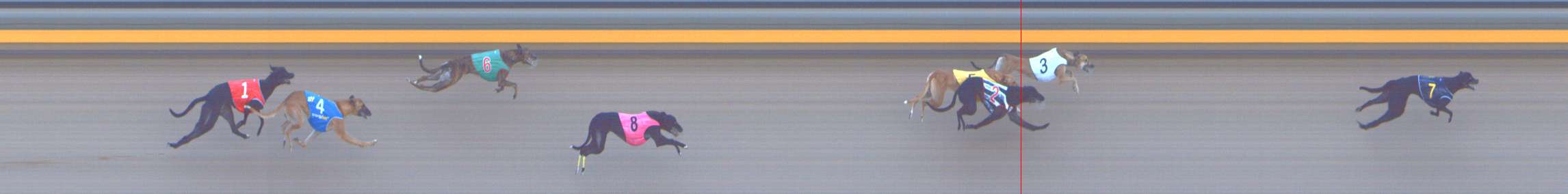 Photo finish for Shepparton Race 1