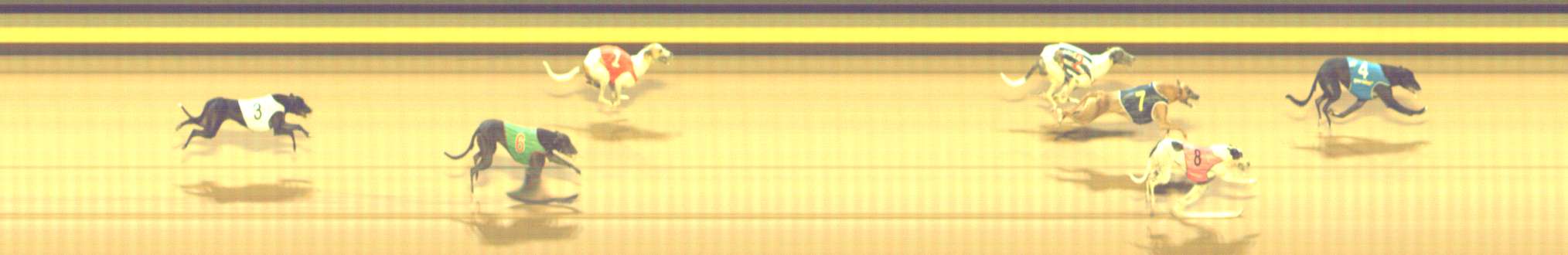 Photo finish for Shepparton Race 5