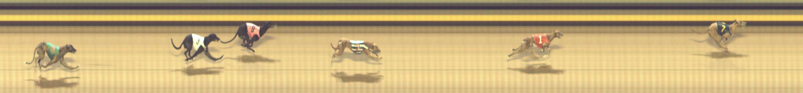Photo finish for Shepparton Race 6
