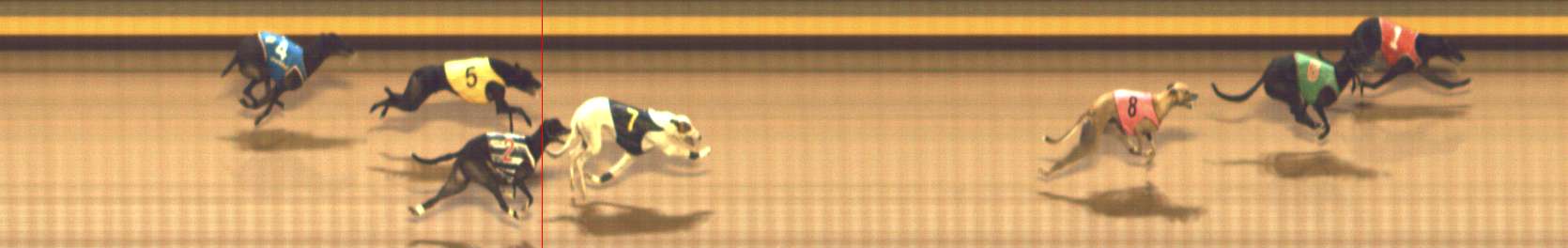 Photo finish for Shepparton Race 7