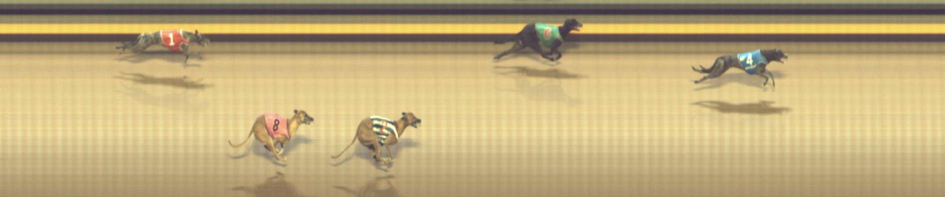 Photo finish for Shepparton Race 8
