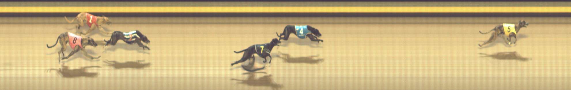 Photo finish for Shepparton Race 10
