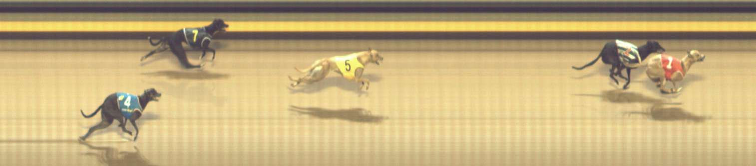 Photo finish for Shepparton Race 11