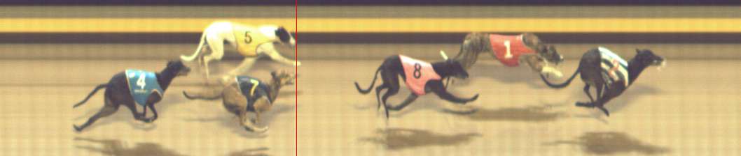 Photo finish for Shepparton Race 12