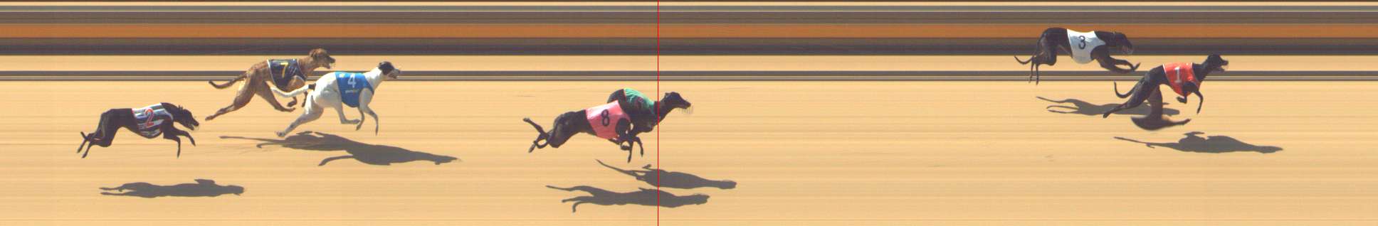Photo finish for Shepparton Race 1