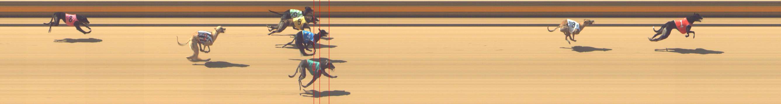 Photo finish for Shepparton Race 3